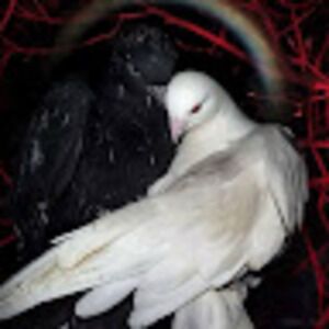 Meet your Posher, Kelia